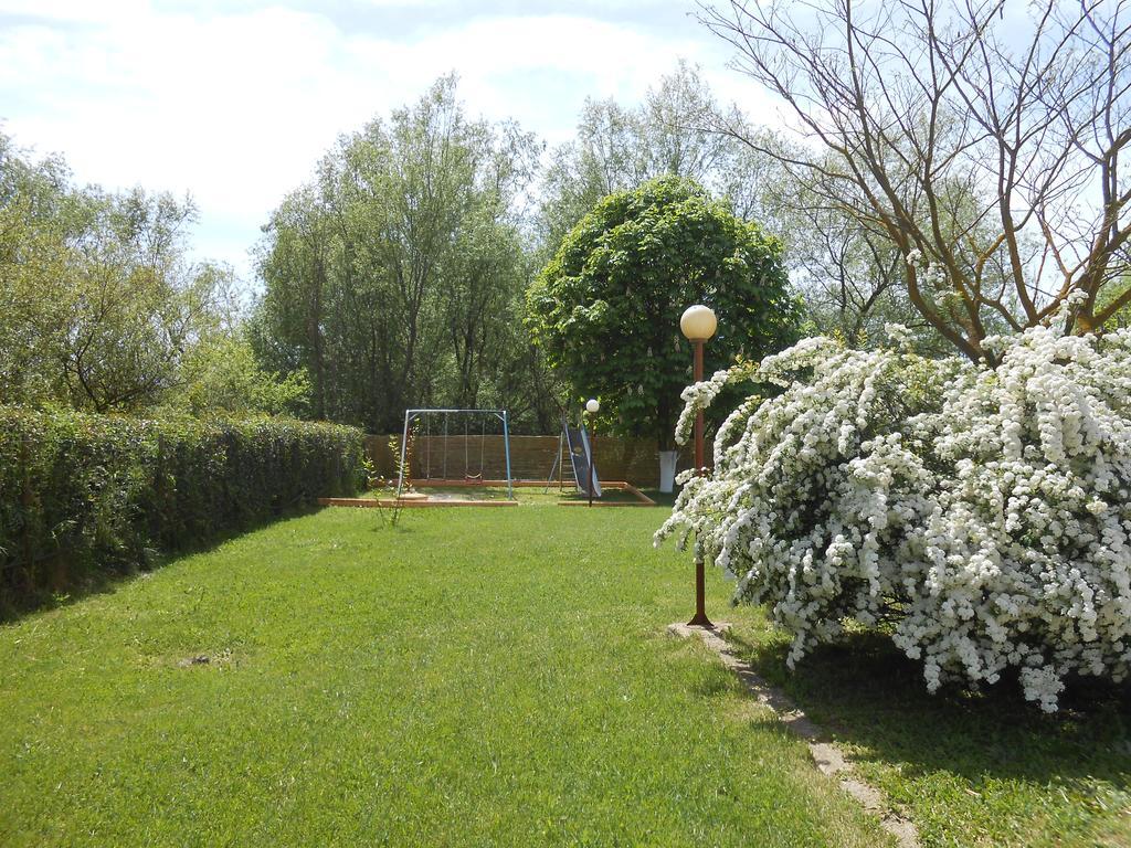 Zisis Garden Studios Ioánnina Exteriör bild