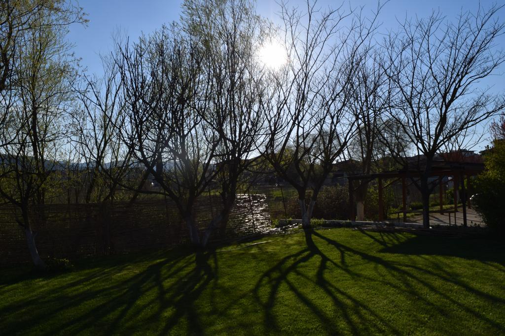 Zisis Garden Studios Ioánnina Exteriör bild